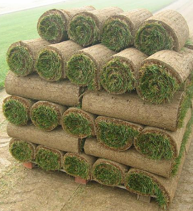 Grass SOD for Sale Northern Virginia