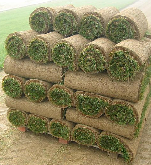 SOD Grass Rock Stone And Sand Yard