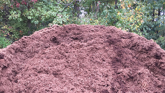 Compost Fairfax VA