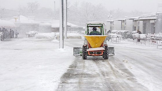 Road Salt and Bulk Salt in Arlington, VA