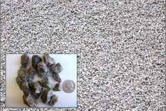 (#57 Bluestone) ¾\" Crushed Bluestone for driveways and drainage.  All  Purpose Gravel