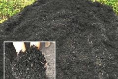 Black Mulch is a material placed over the soils surface to uphold moisture and improve the condition of soil around the ground, plants, and trees. Mulching is one of the most beneficial things a home owner can do for the health of a tree and his or her plants. Colored mulch is very popular to landscape your home or business to match the scenic beauty and gives very atheistically pleasing, well-groomed appearance.